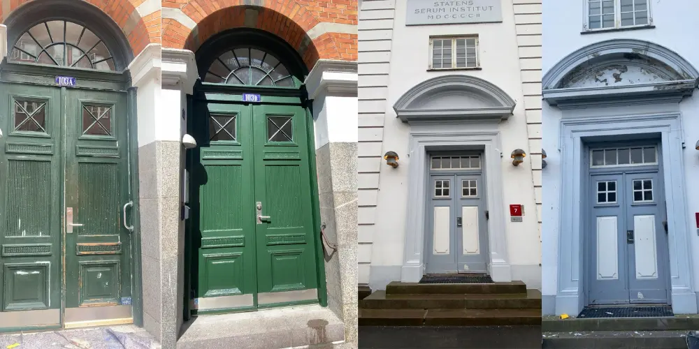 Door painting project image